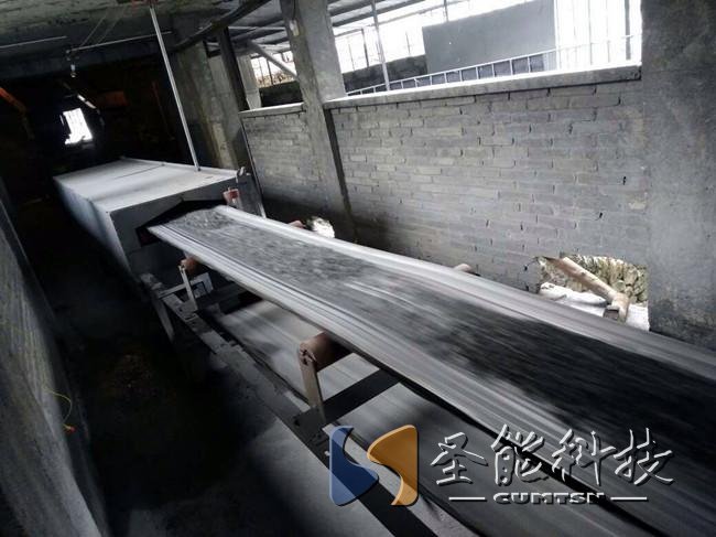 圣能科技<a href='http://guolians.cn' target='_blank'><u>電子皮帶秤</u></a>項(xiàng)目